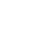 VIXI